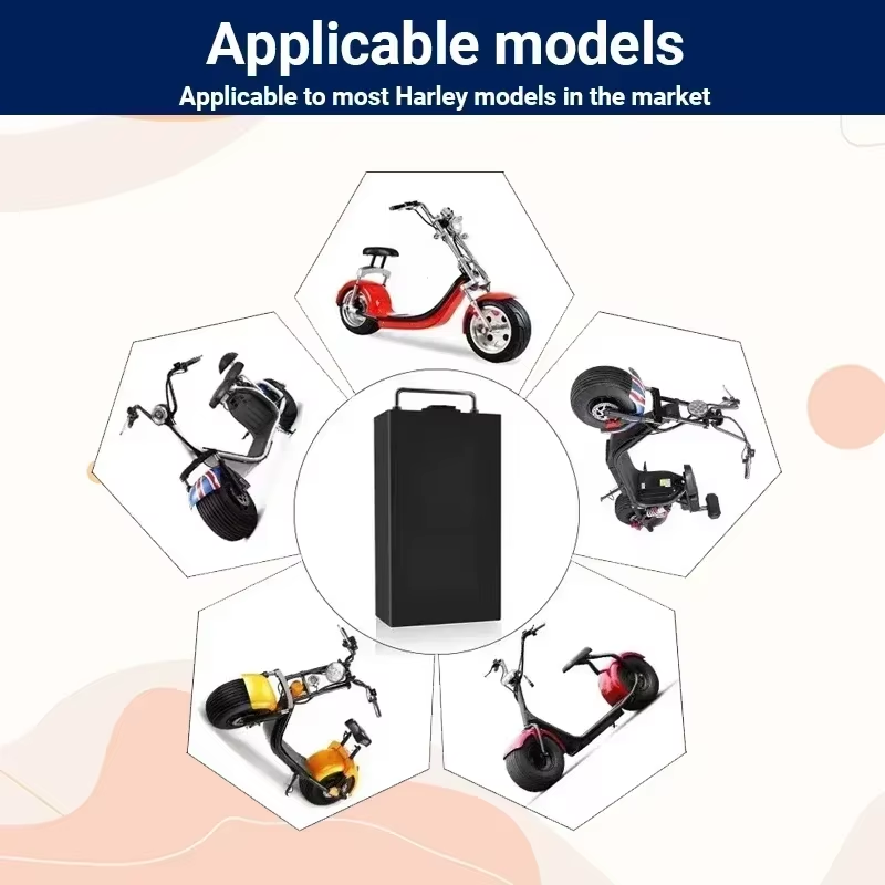 Untuk Baterai Sepeda Motor Lis - 60V 30Ah Electric Scooter Battery ulasan dan harga